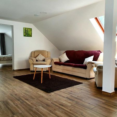 Twins Apartments Sovata Dış mekan fotoğraf