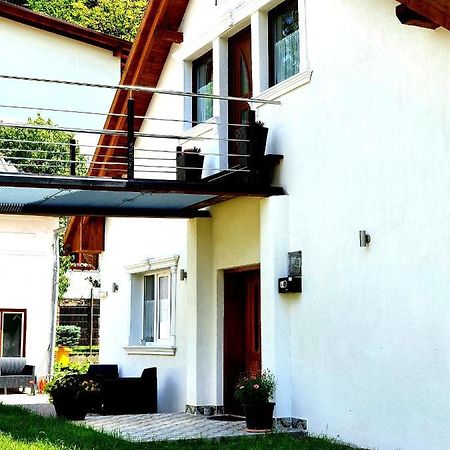Twins Apartments Sovata Dış mekan fotoğraf