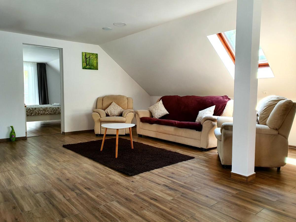 Twins Apartments Sovata Dış mekan fotoğraf